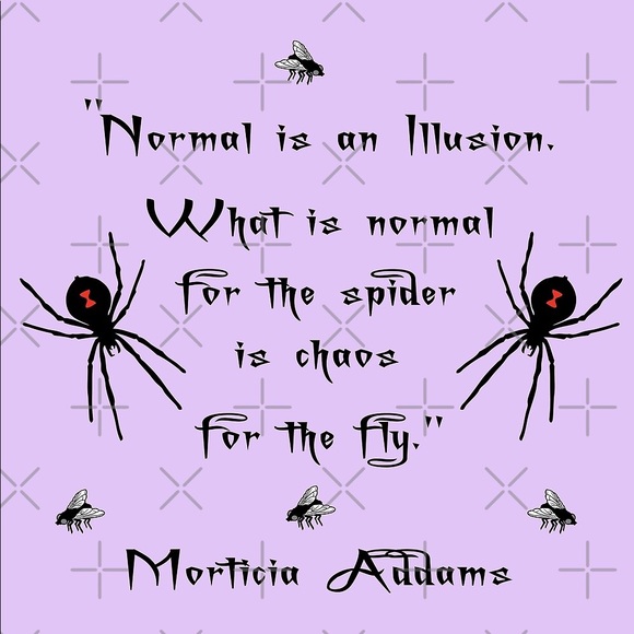 Mystery Box 🕷️ - Picture 7 of 8